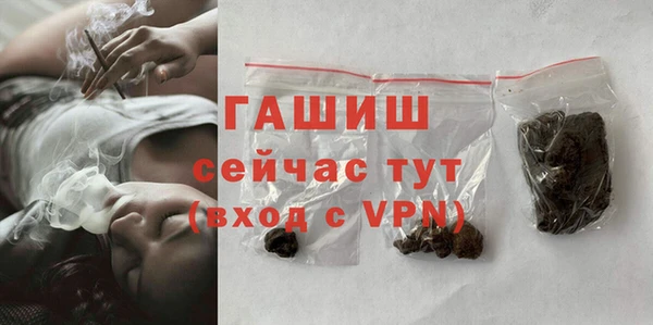 стаф Абаза