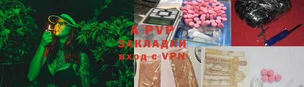 стаф Абаза