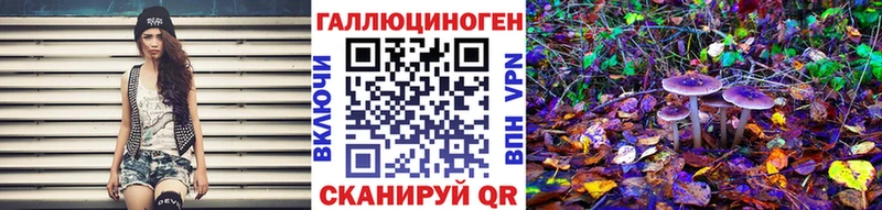 Галлюциногенные грибы Psilocybine cubensis как найти наркотики мега как зайти Астрахань