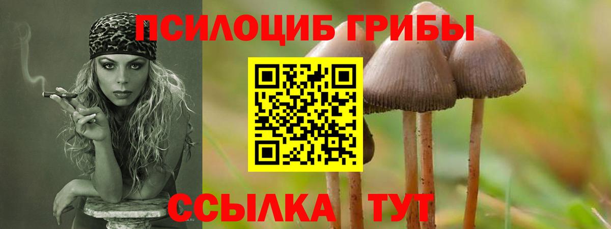 Псилоцибиновые грибы ЛСД Астрахань